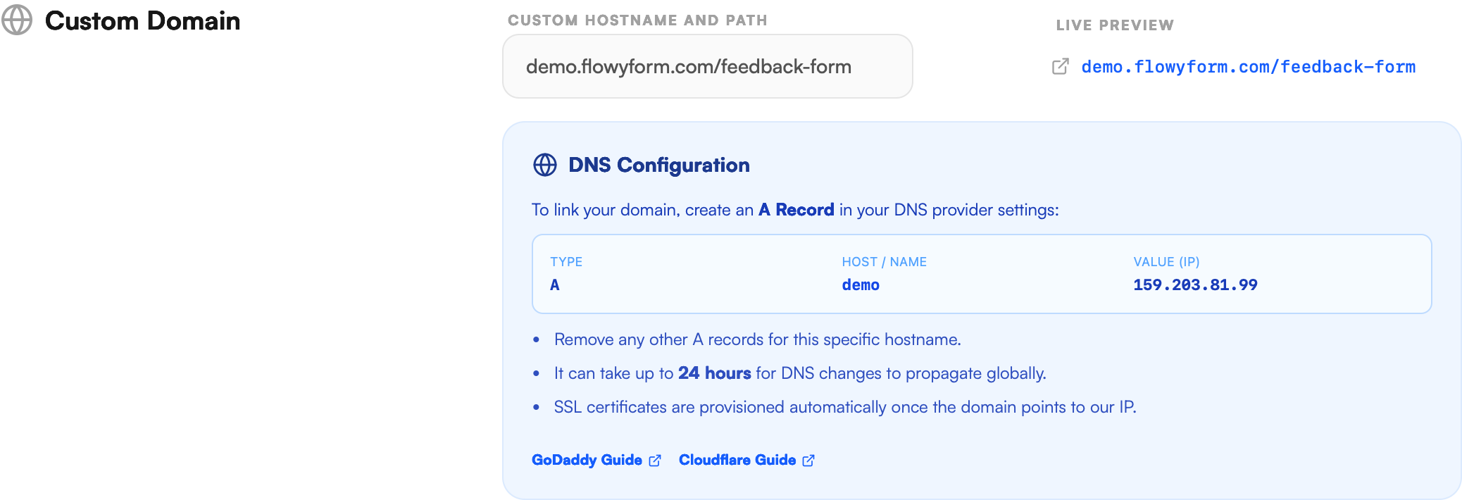DNS Configuration Panel Configuring DNS A records for custom domains